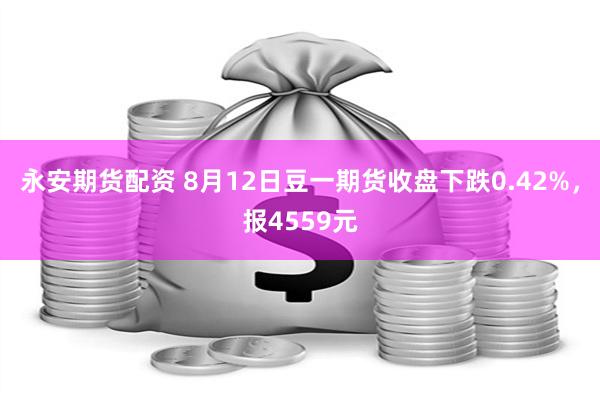 永安期货配资 8月12日豆一期货收盘下跌0.42%，报4559元