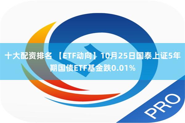 十大配资排名 【ETF动向】10月25日国泰上证5年期国债ETF基金跌0.01%