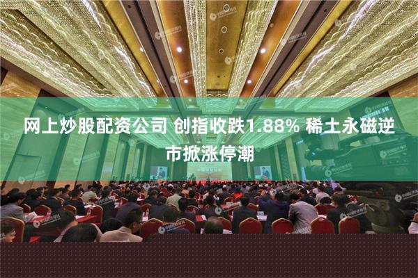 网上炒股配资公司 创指收跌1.88% 稀土永磁逆市掀涨停潮